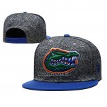 Cappellino Florida Gators Blu Grigio