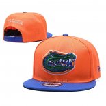 Cappellino Florida Gators 9FIFTY Snapback Blu Arancione